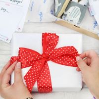 Bright red bow on gift wrapped box